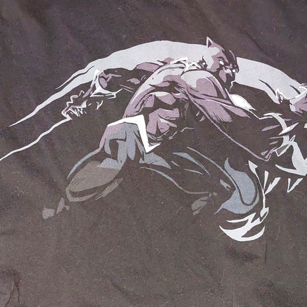 Marvel, Black Panther, Lootcrate Exclusive, Small TShirt